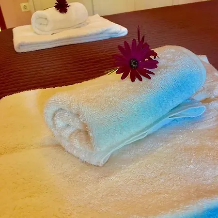 Appartement Palapart Gikas House